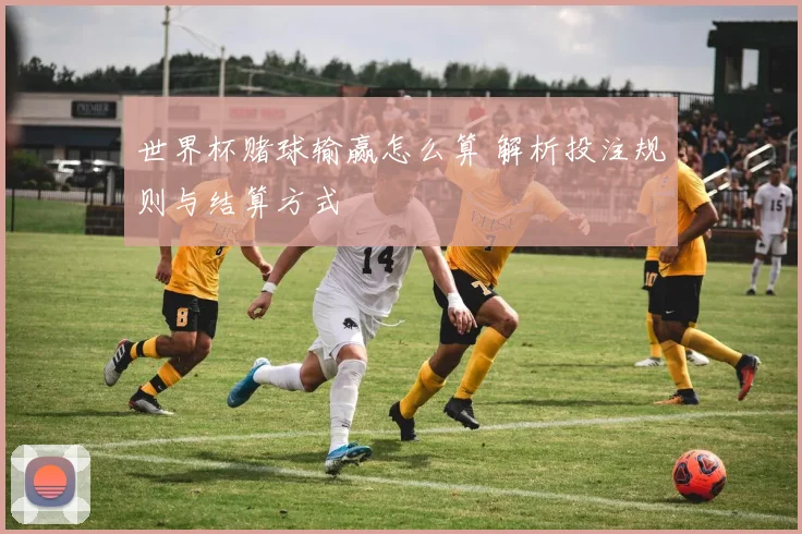 世界杯赌球输赢怎么算 解析投注规则与结算方式